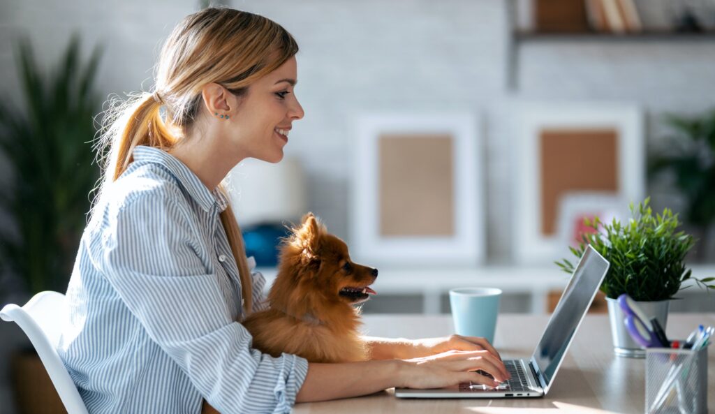 Lovely dog looking the laptop while her beautiful owner working with him in living room at home.